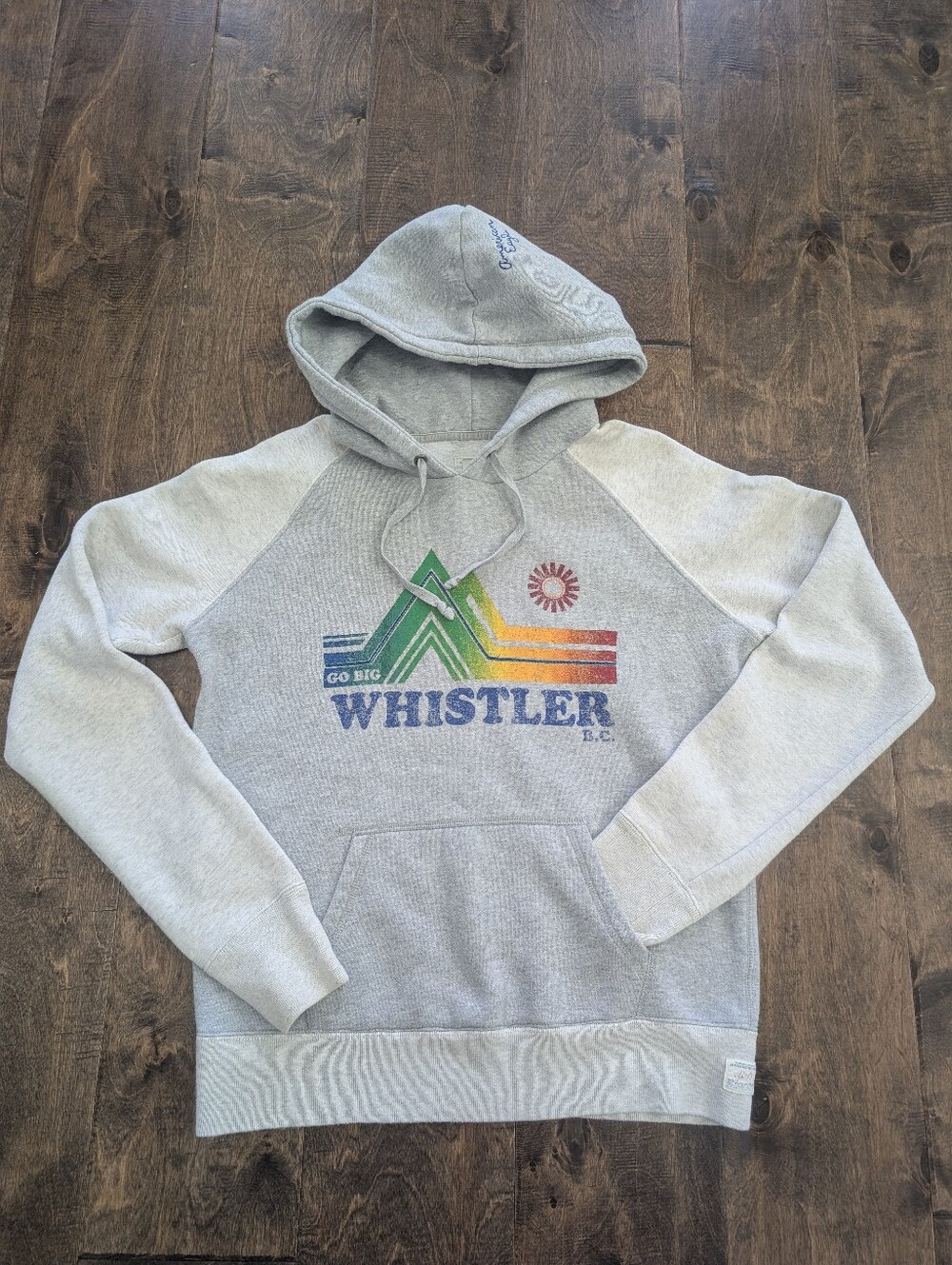 American Eagle Whistler BC Hoodie Sweatshirt